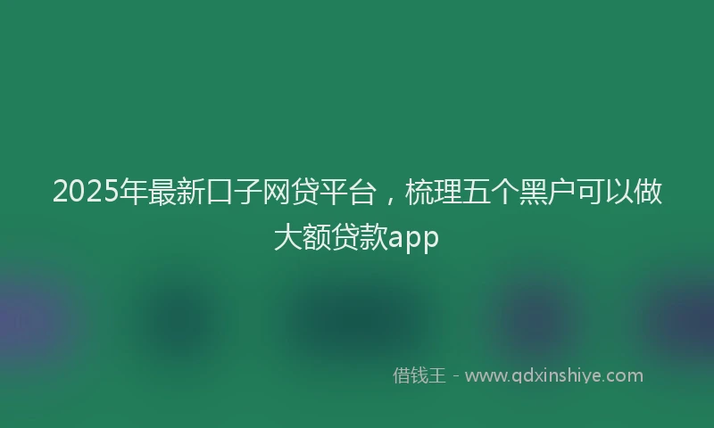 2025年最新口子网贷平台，梳理五个黑户可以做大额贷款app