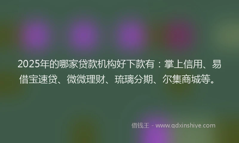 2025年的哪家贷款机构好下款有：掌上信用、易借宝速贷、微微理财、琉璃分期、尔集商城等。