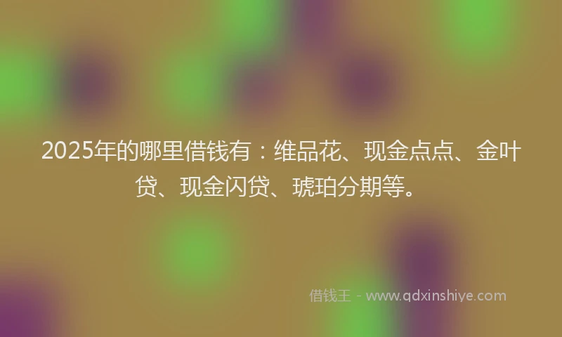 2025年的哪里借钱有：维品花、现金点点、金叶贷、现金闪贷、琥珀分期等。