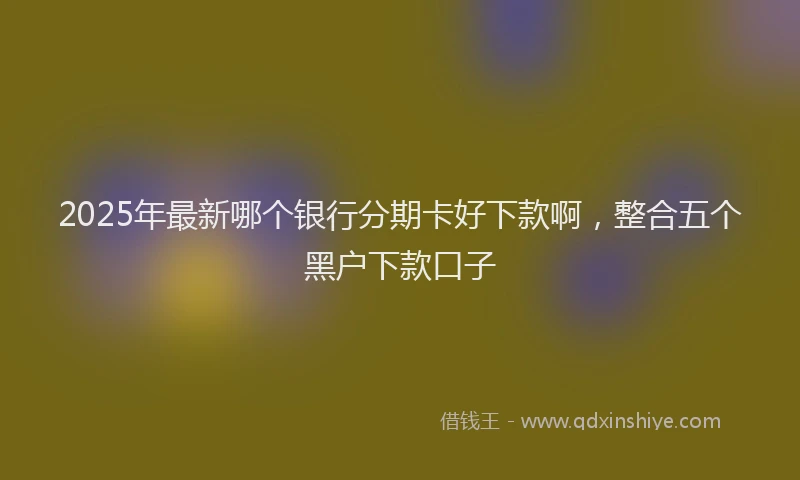 2025年最新哪个银行分期卡好下款啊，整合五个黑户下款口子