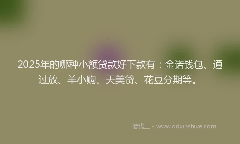 2025年的哪种小额贷款好下款有：金诺钱包、通过放、羊小购、天美贷、花豆分期等。