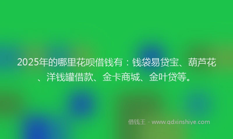 2025年的哪里花呗借钱有：钱袋易贷宝、葫芦花、洋钱罐借款、金卡商城、金叶贷等。