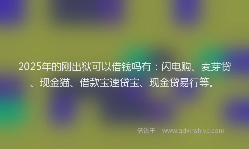 2025年的刚出狱可以借钱吗有：闪电购、麦芽贷、现金猫、借款宝速贷宝、现金贷易行等。