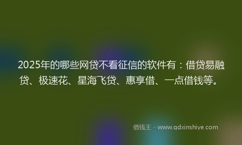 2025年的哪些网贷不看征信的软件有：借贷易融贷、极速花、星海飞贷、惠享借、一点借钱等。