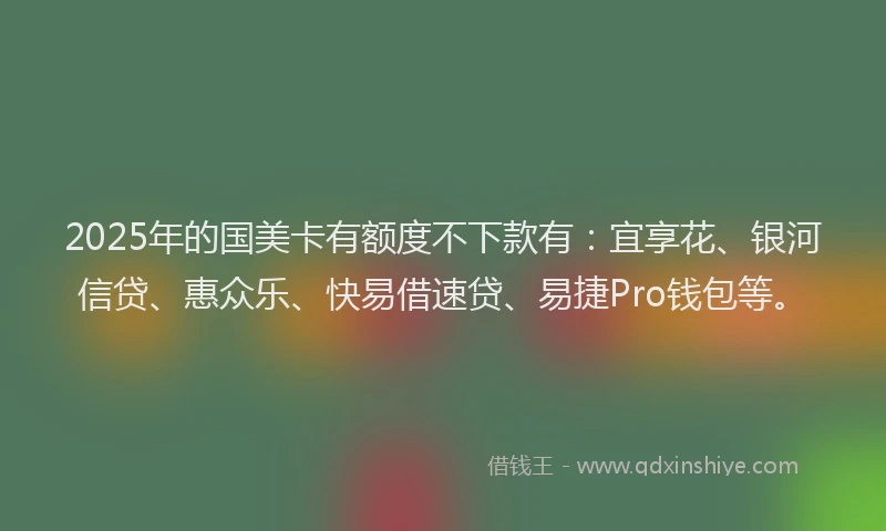 2025年的国美卡有额度不下款有：宜享花、银河信贷、惠众乐、快易借速贷、易捷Pro钱包等。