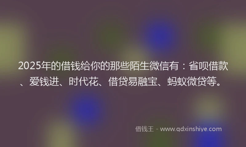 2025年的借钱给你的那些陌生微信有：省呗借款、爱钱进、时代花、借贷易融宝、蚂蚁微贷等。