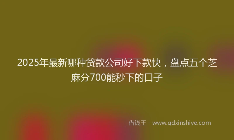 2025年最新哪种贷款公司好下款快，盘点五个芝麻分700能秒下的口子