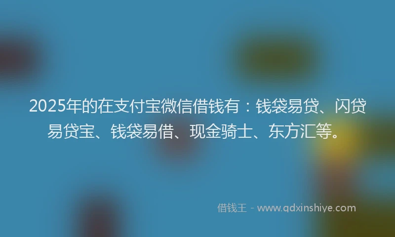 2025年的在支付宝微信借钱有：钱袋易贷、闪贷易贷宝、钱袋易借、现金骑士、东方汇等。