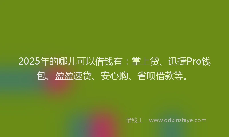 2025年的哪儿可以借钱有：掌上贷、迅捷Pro钱包、盈盈速贷、安心购、省呗借款等。