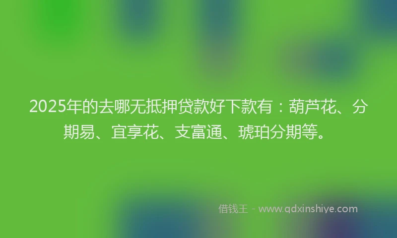 2025年的去哪无抵押贷款好下款有：葫芦花、分期易、宜享花、支富通、琥珀分期等。