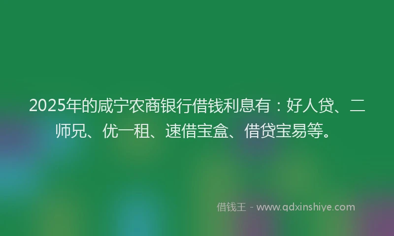 2025年的咸宁农商银行借钱利息有：好人贷、二师兄、优一租、速借宝盒、借贷宝易等。