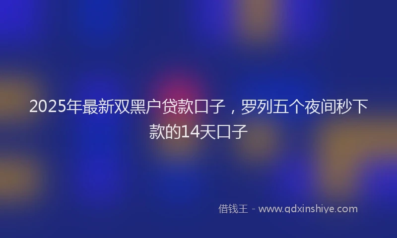 2025年最新双黑户贷款口子，罗列五个夜间秒下款的14天口子