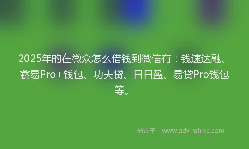 2025年的在微众怎么借钱到微信有：钱速达融、鑫易Pro+钱包、功夫贷、日日盈、易贷Pro钱包等。