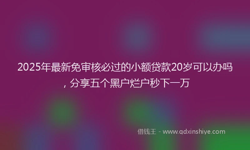 2025年最新免审核必过的小额贷款20岁可以办吗，分享五个黑户烂户秒下一万