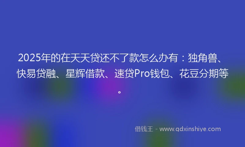 2025年的在天天贷还不了款怎么办有：独角兽、快易贷融、星辉借款、速贷Pro钱包、花豆分期等。