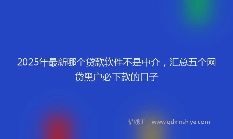2025年最新哪个贷款软件不是中介，汇总五个网贷黑户必下款的口子