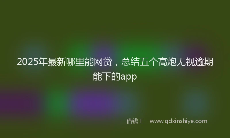 2025年最新哪里能网贷，总结五个高炮无视逾期能下的app