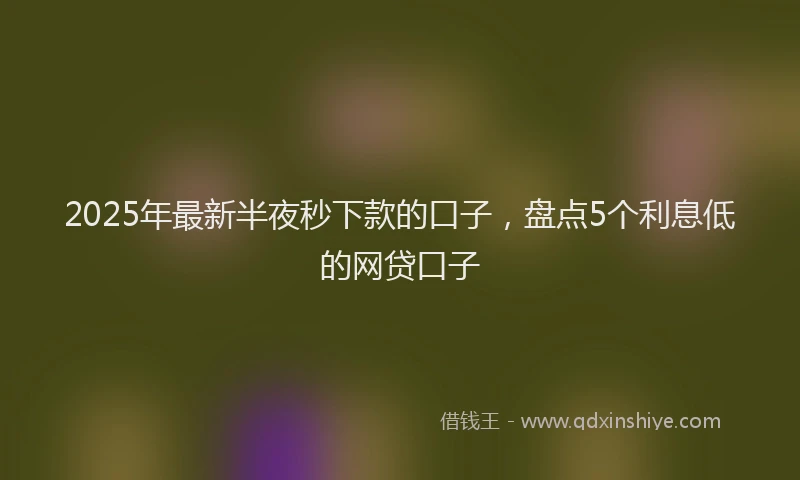 2025年最新半夜秒下款的口子，盘点5个利息低的网贷口子