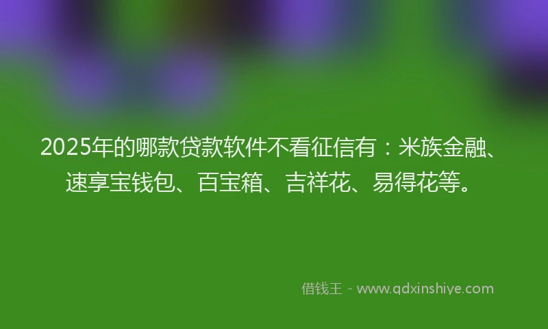 2025年的哪款贷款软件不看征信有：米族金融、速享宝钱包、百宝箱、吉祥花、易得花等。