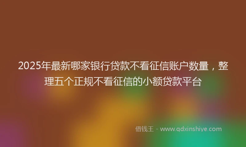 2025年最新哪家银行贷款不看征信账户数量，整理五个正规不看征信的小额贷款平台