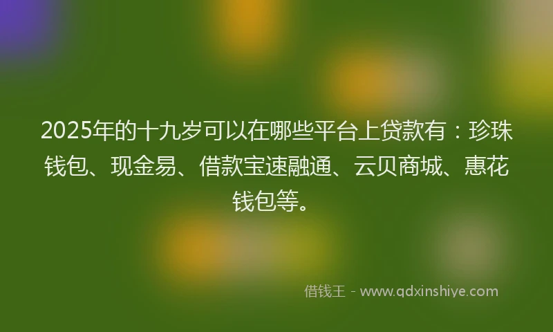 2025年的十九岁可以在哪些平台上贷款有：珍珠钱包、现金易、借款宝速融通、云贝商城、惠花钱包等。