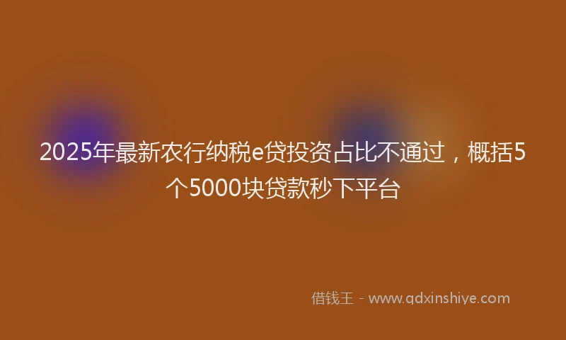 2025年最新农行纳税e贷投资占比不通过，概括5个5000块贷款秒下平台