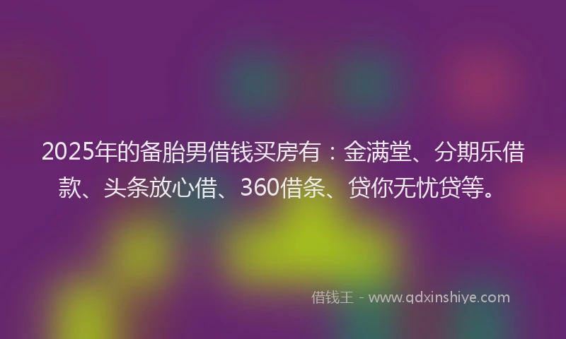 2025年的备胎男借钱买房有：金满堂、分期乐借款、头条放心借、360借条、贷你无忧贷等。