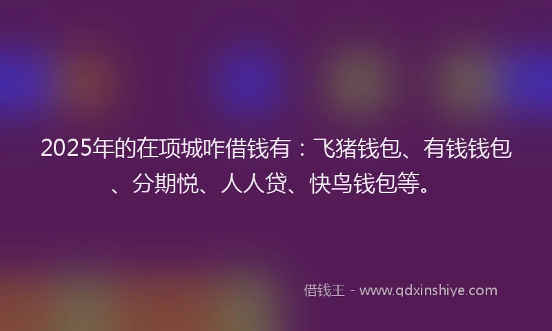 2025年的在项城咋借钱有：飞猪钱包、有钱钱包、分期悦、人人贷、快鸟钱包等。