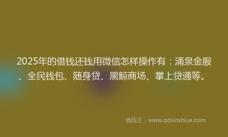 2025年的借钱还钱用微信怎样操作有：涌泉金服、全民钱包、随身贷、黑鲸商场、掌上贷通等。