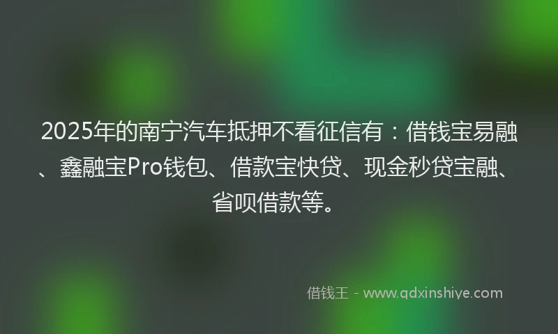 2025年的南宁汽车抵押不看征信有：借钱宝易融、鑫融宝Pro钱包、借款宝快贷、现金秒贷宝融、省呗借款等。