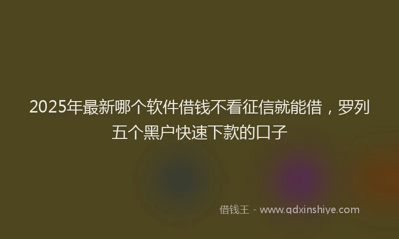 2025年最新哪个软件借钱不看征信就能借，罗列五个黑户快速下款的口子