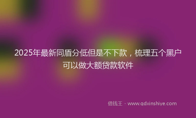 2025年最新同盾分低但是不下款，梳理五个黑户可以做大额贷款软件