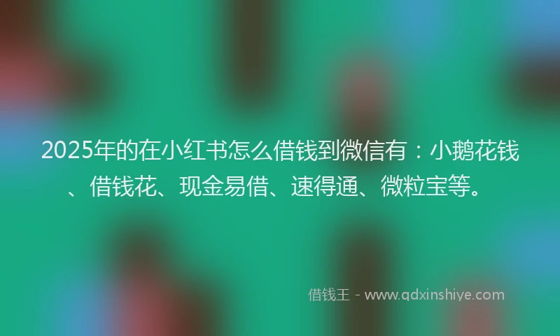 2025年的在小红书怎么借钱到微信有：小鹅花钱、借钱花、现金易借、速得通、微粒宝等。