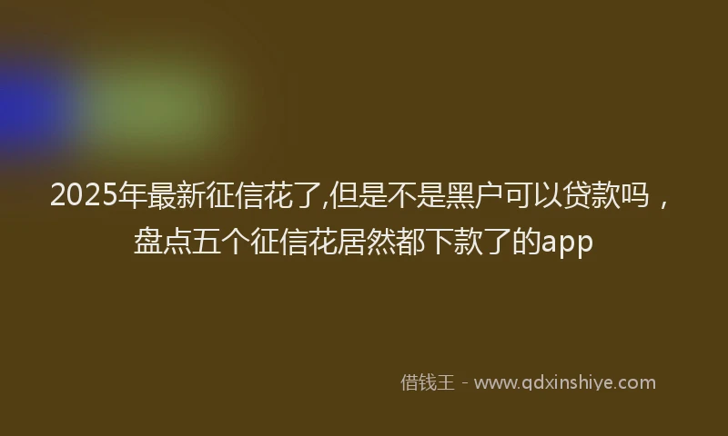 2025年最新征信花了,但是不是黑户可以贷款吗，盘点五个征信花居然都下款了的app