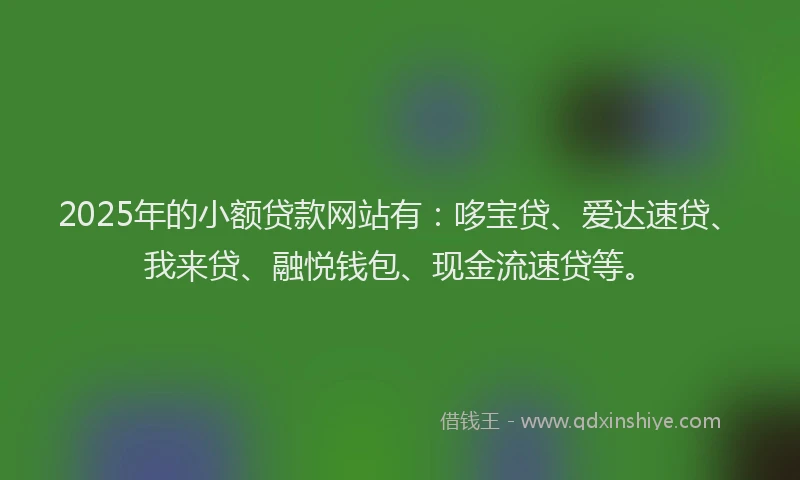2025年的小额贷款网站有：哆宝贷、爱达速贷、我来贷、融悦钱包、现金流速贷等。