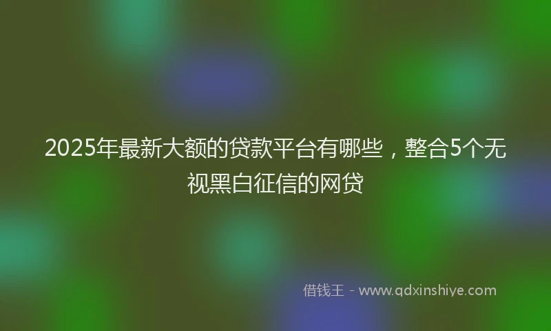 2025年最新大额的贷款平台有哪些，整合5个无视黑白征信的网贷
