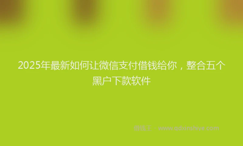 2025年最新如何让微信支付借钱给你，整合五个黑户下款软件