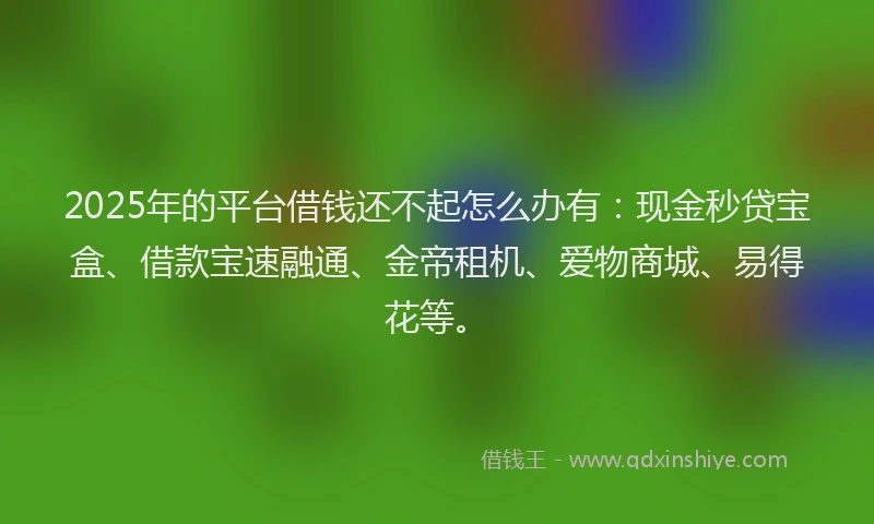 2025年的平台借钱还不起怎么办有：现金秒贷宝盒、借款宝速融通、金帝租机、爱物商城、易得花等。