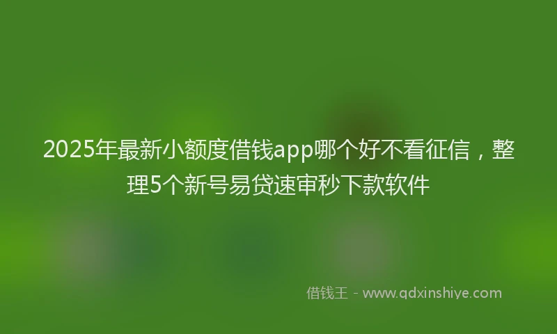 2025年最新小额度借钱app哪个好不看征信，整理5个新号易贷速审秒下款软件