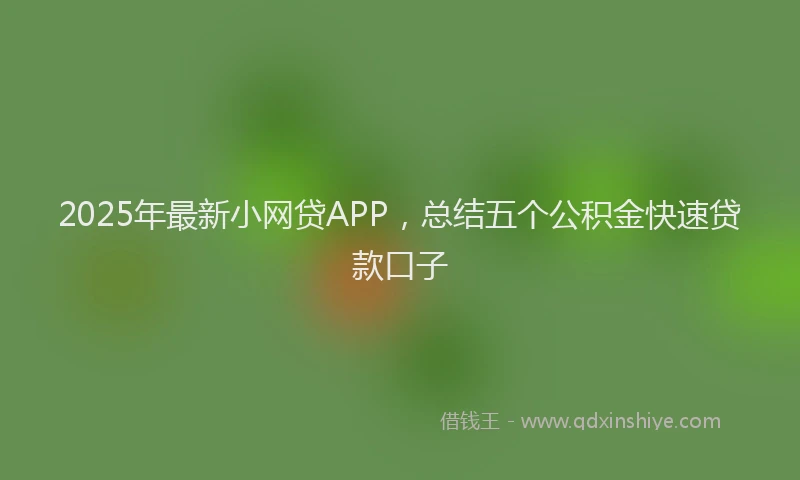 2025年最新小网贷APP，总结五个公积金快速贷款口子
