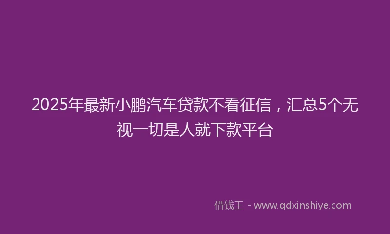2025年最新小鹏汽车贷款不看征信，汇总5个无视一切是人就下款平台