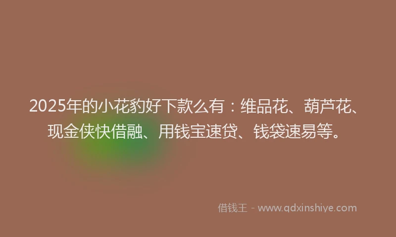 2025年的小花豹好下款么有：维品花、葫芦花、现金侠快借融、用钱宝速贷、钱袋速易等。