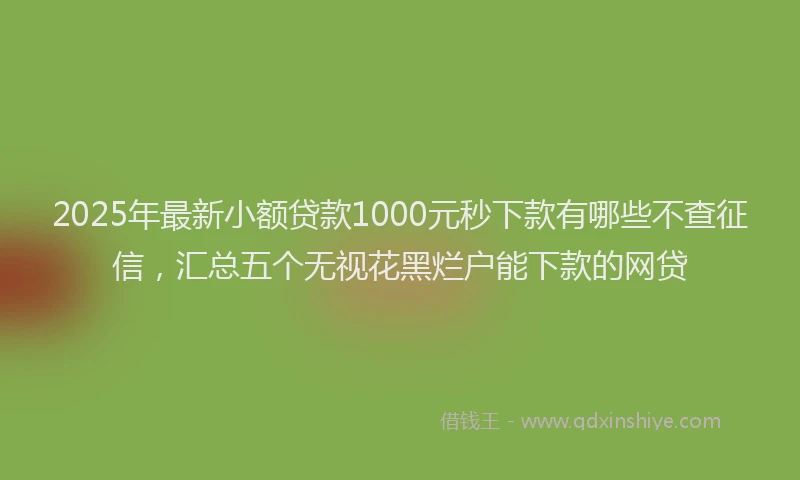 2025年最新小额贷款1000元秒下款有哪些不查征信，汇总五个无视花黑烂户能下款的网贷