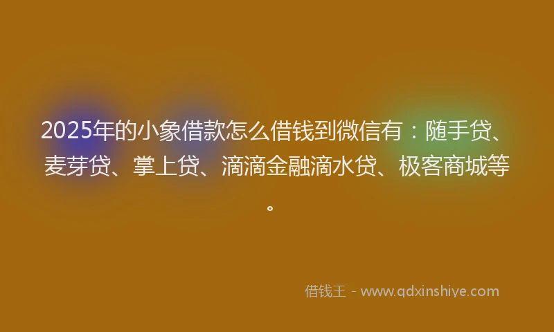 2025年的小象借款怎么借钱到微信有：随手贷、麦芽贷、掌上贷、滴滴金融滴水贷、极客商城等。