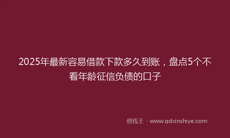 2025年最新容易借款下款多久到账，盘点5个不看年龄征信负债的口子