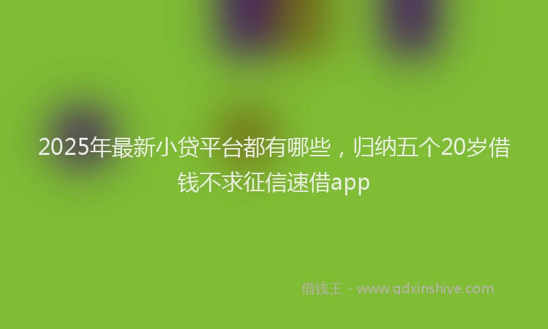 2025年最新小贷平台都有哪些，归纳五个20岁借钱不求征信速借app