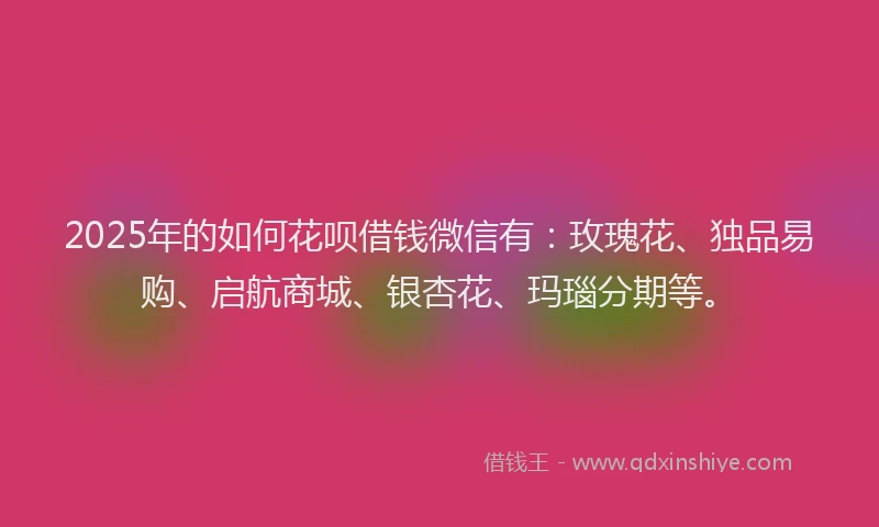 2025年的如何花呗借钱微信有：玫瑰花、独品易购、启航商城、银杏花、玛瑙分期等。