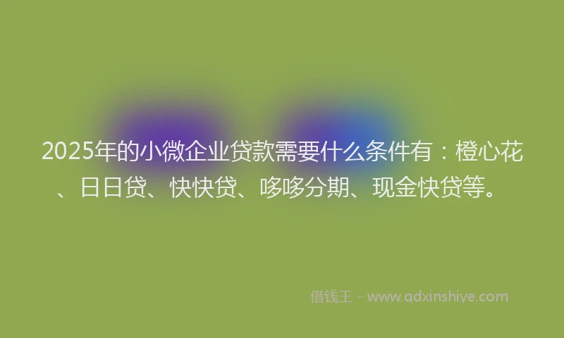 2025年的小微企业贷款需要什么条件有：橙心花、日日贷、快快贷、哆哆分期、现金快贷等。