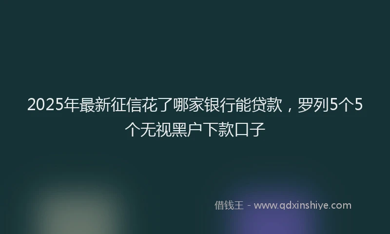2025年最新征信花了哪家银行能贷款，罗列5个5个无视黑户下款口子