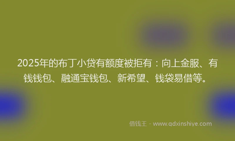 2025年的布丁小贷有额度被拒有：向上金服、有钱钱包、融通宝钱包、新希望、钱袋易借等。
